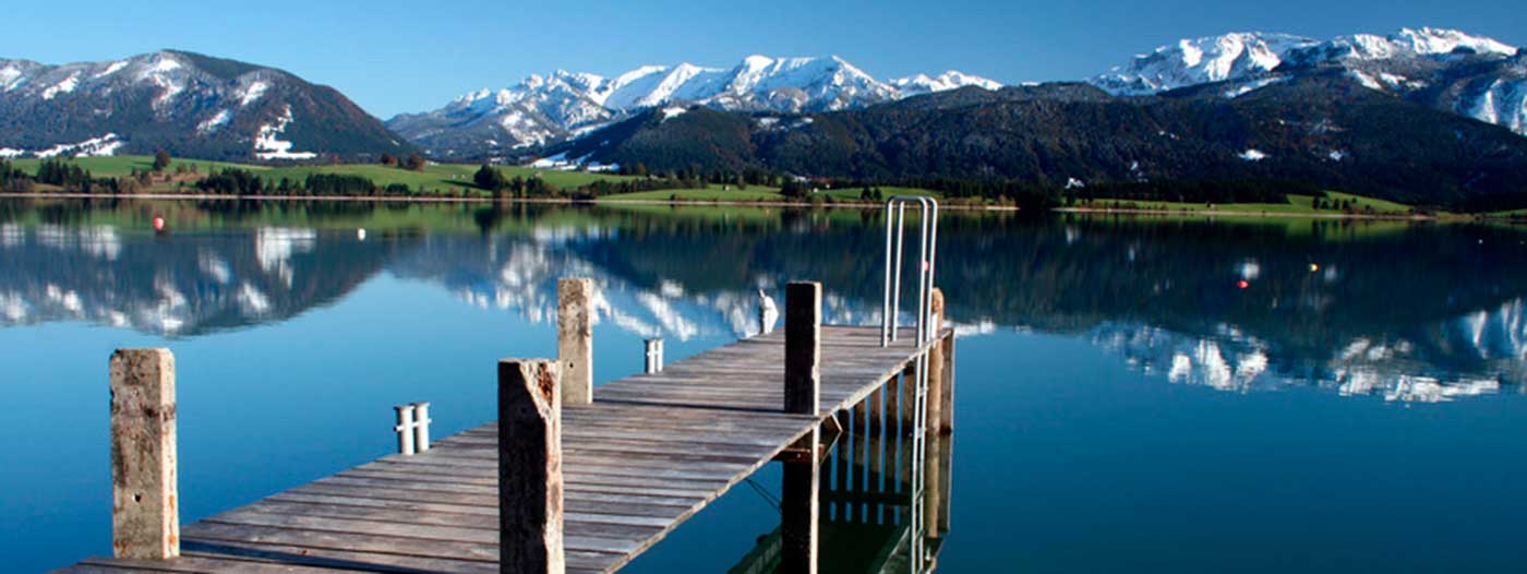 Naturbestattung preiswert mit Saxonitas® Naturbestattung preiswert mit Saxonitas®